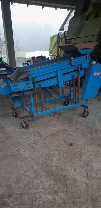 Sortownik do ziemniaków cebuli