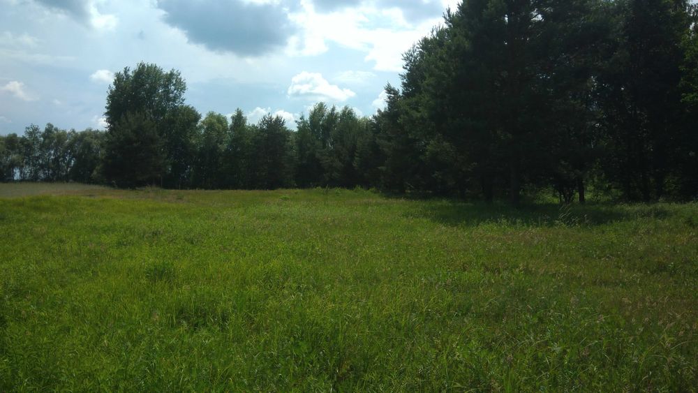 Sprzedam działkę o powierzchni 3500m2