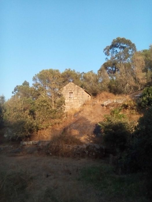 Quinta com ruina para recuperar! 1.3hec farm with granit house (ruin) Offgrid (Oliveira do Hospital)