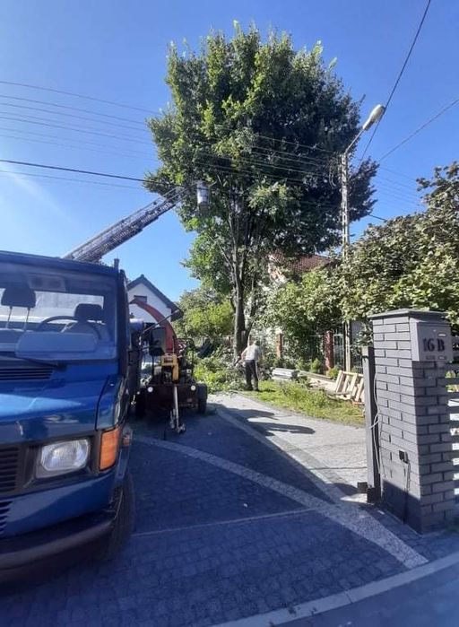 Wycinka drzew,Usuwanie wiatrołomów,mielenie gałęzi,czyszczenie działek