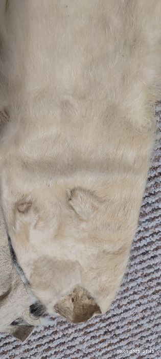 Натуральне хутро дешево