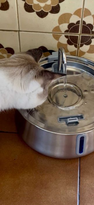 Fonte de Água Inox 4L