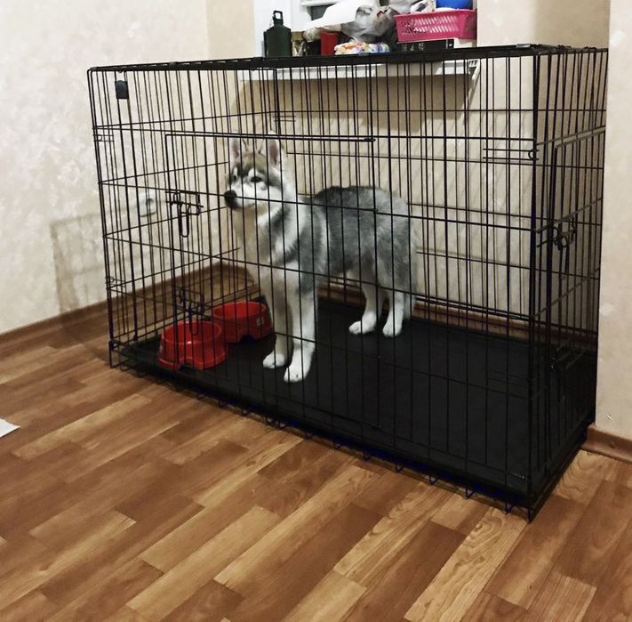 Клітка Укріплена для собак, клетка для больших собак, вольер для собак