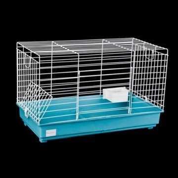 Coelhos anões+Gaiola nova+alimentação adequada