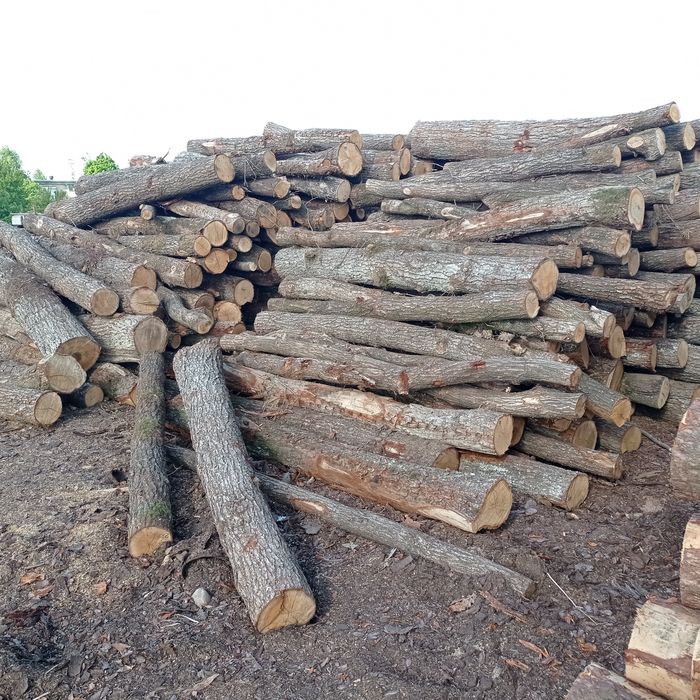 Drewno sosna świerk dąb opał deski kominkowe obladry zrzyny trociny