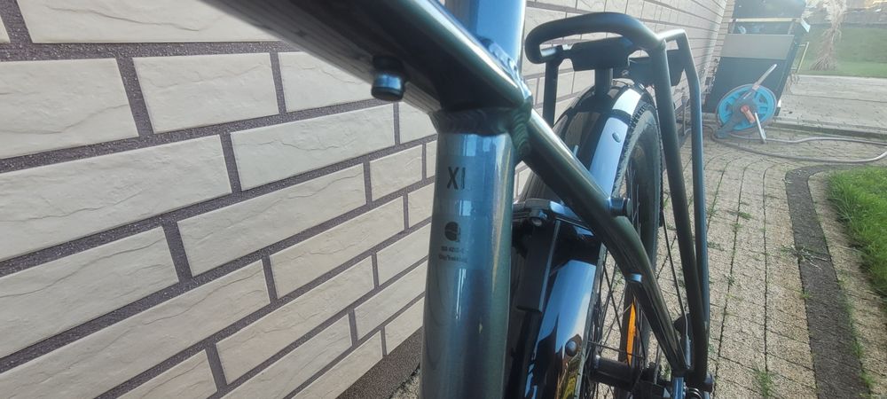 rower trek Dual Sport ds 3