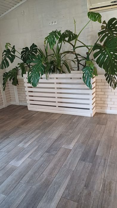 Продається гашпо з квітами монстера