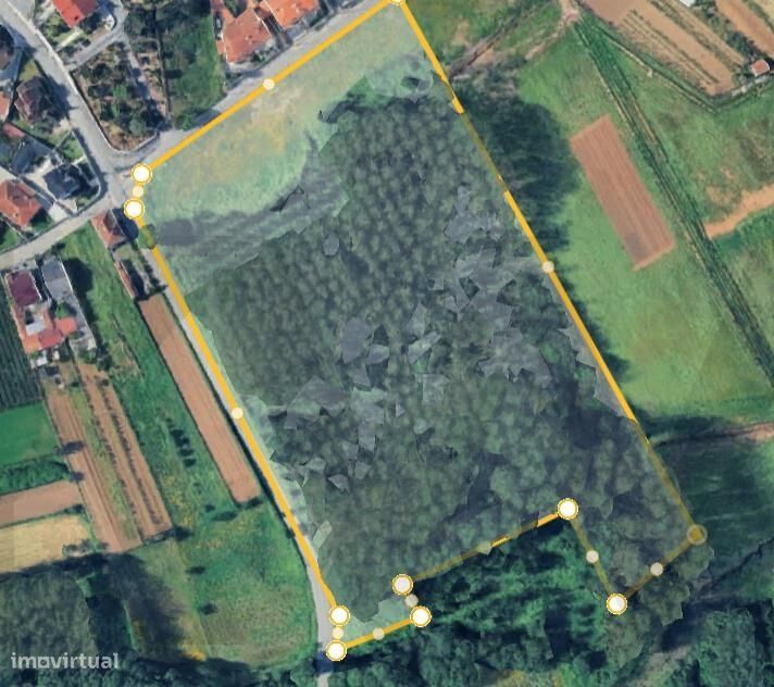 Terreno rustico com viabilidade de construção
