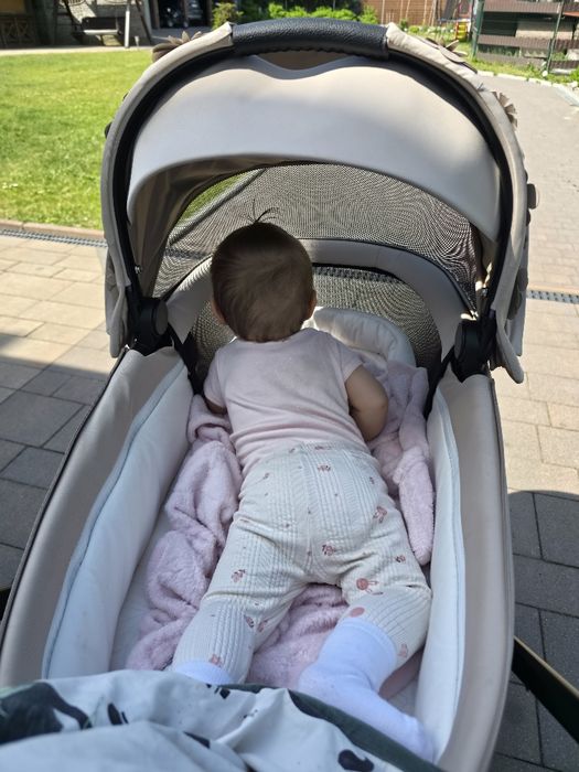 Simply flowers cybex priam 4.0 gondola