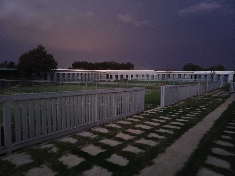 Hotel canino e felino - alojamento para cães e Gatos em coimbra