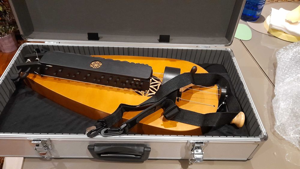 Hurdy-Gurdy (Sanfona ou viola de roda)