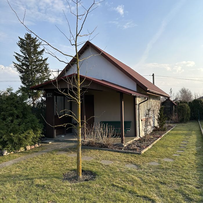 Działka ROD Skierniewice