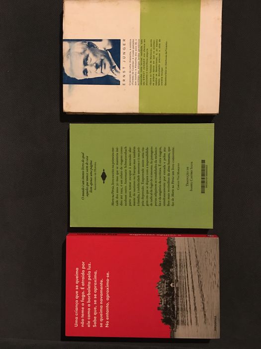 Stig Dagerman/A.  Schwarzenbach/ E. Junger/ G. Sebald /G. Grass