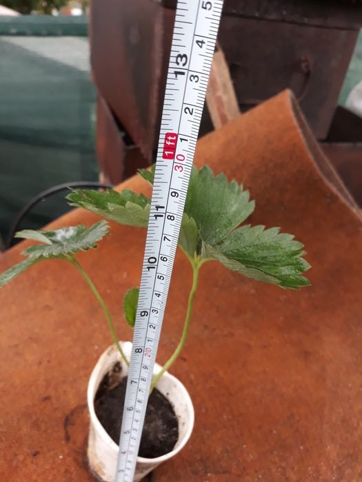 продам трубу нержавеющую