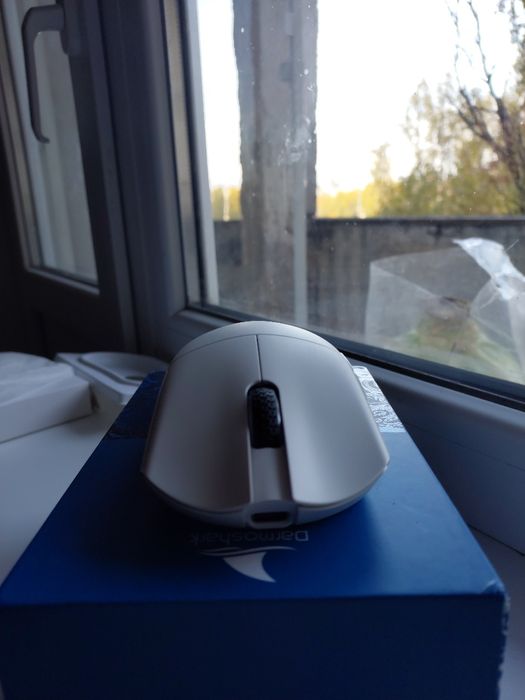 Darmoshark M3 kiran white paw3395