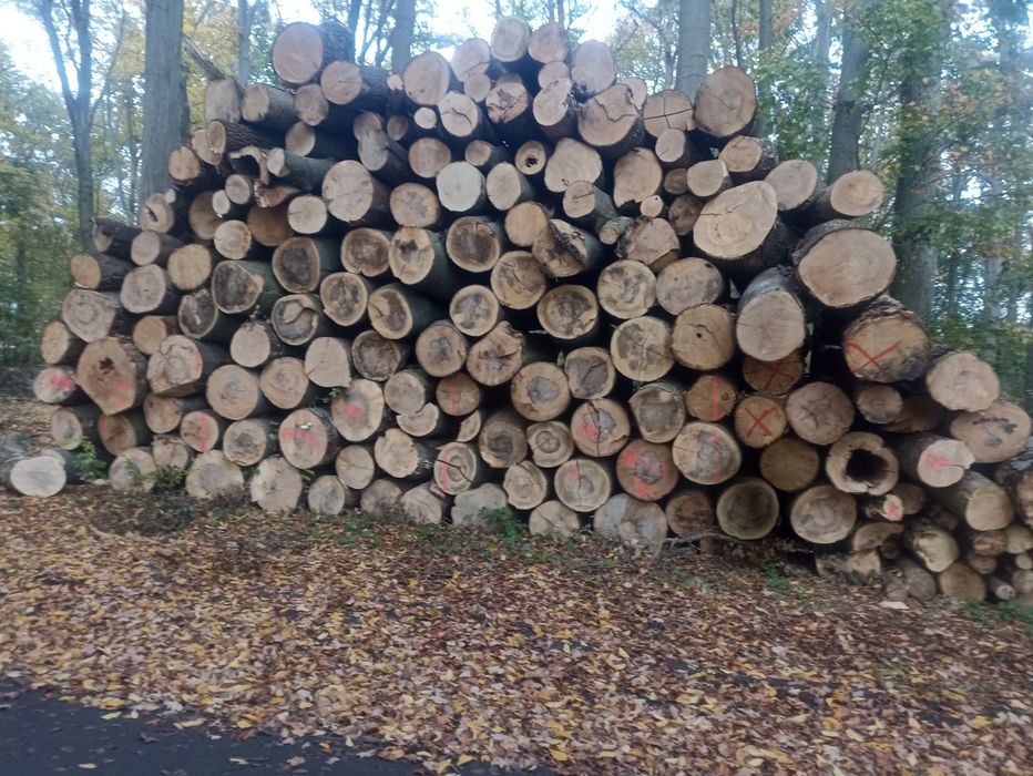 Drewno Kominkowe Opałowe ***SUCHE***