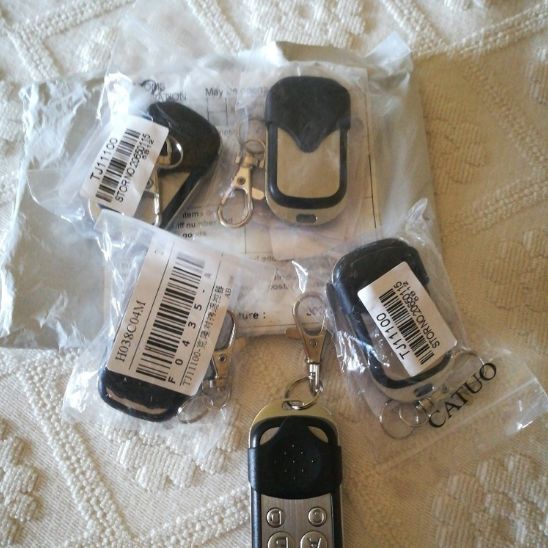 Gate Remote Control441131954099333124