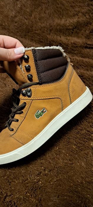 Кросівки Lacoste Orelle (чоловічі)