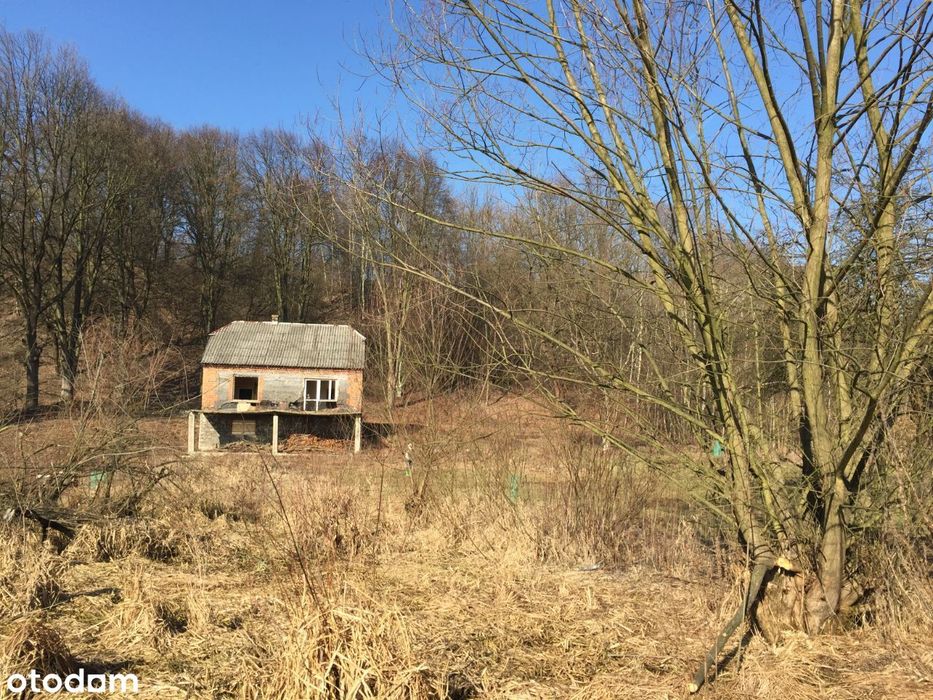Na sprzedaż urokliwa działka pod lasem 24 ary