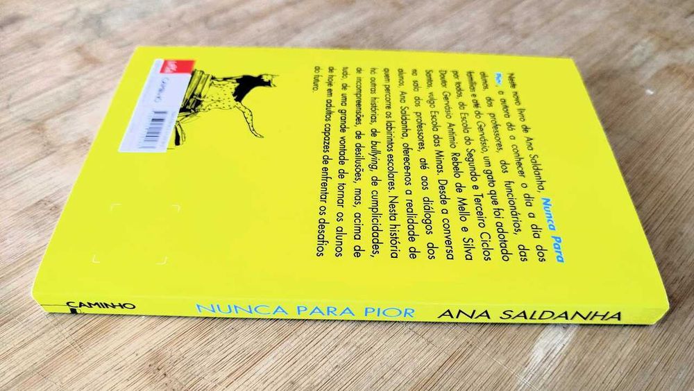 Nunca para Pior de Ana Saldanha