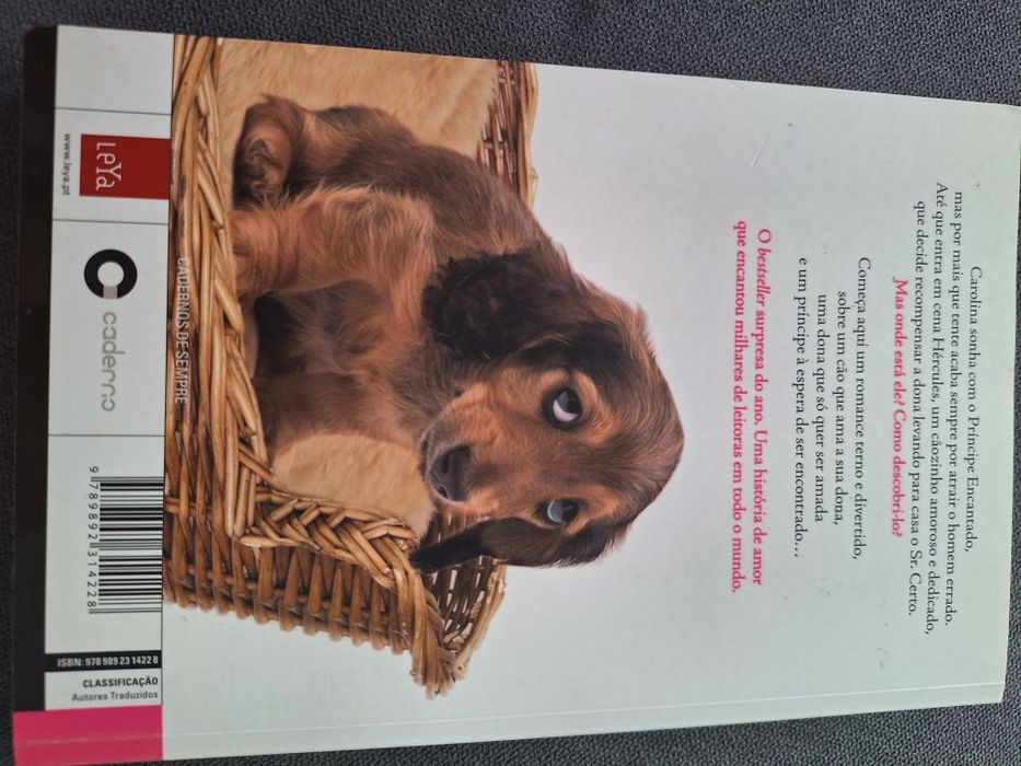Livro novo Cão procura principe encantado para dona Espetacular