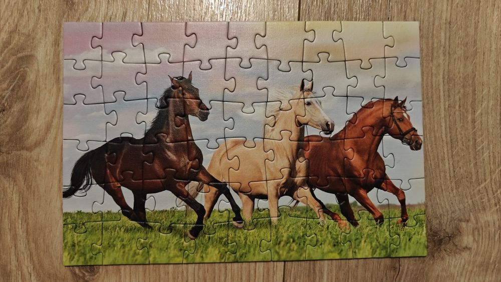Puzzle Trefl mini 54 elementy Konie