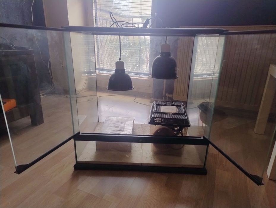 Terrarium 60x45x60 + wyposażenie