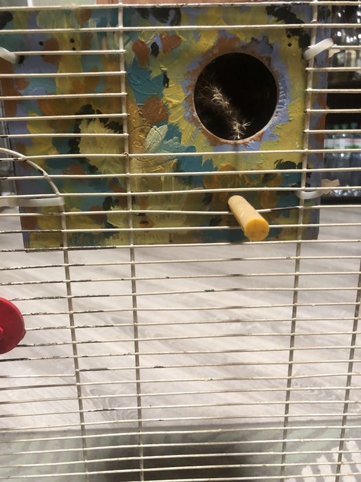 Клетка для попугая б/у