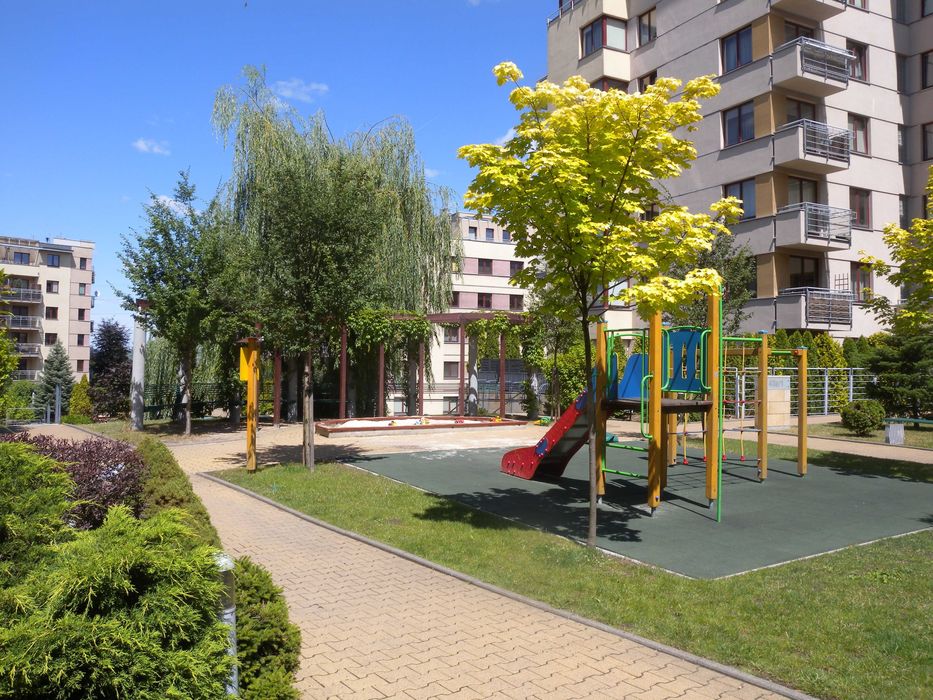 Zdjęcie 8