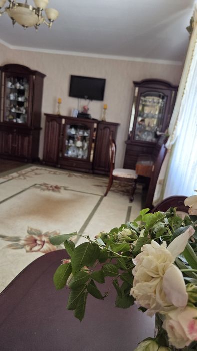 Продаж великого будинку у с.Орлівщина