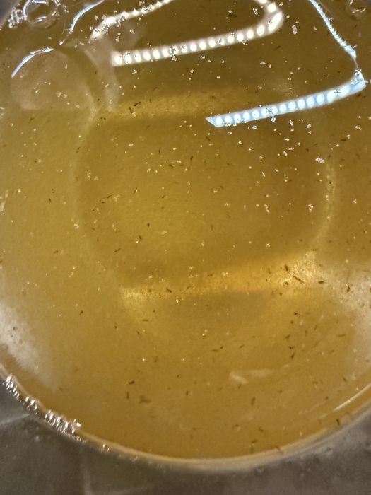 Wrotka z wlasnej hodowli 0,5l slonowodna