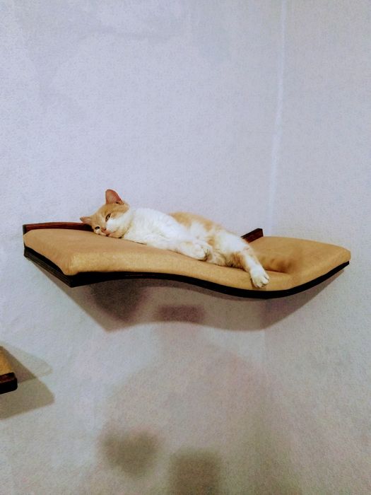 Лежак настенный для котов