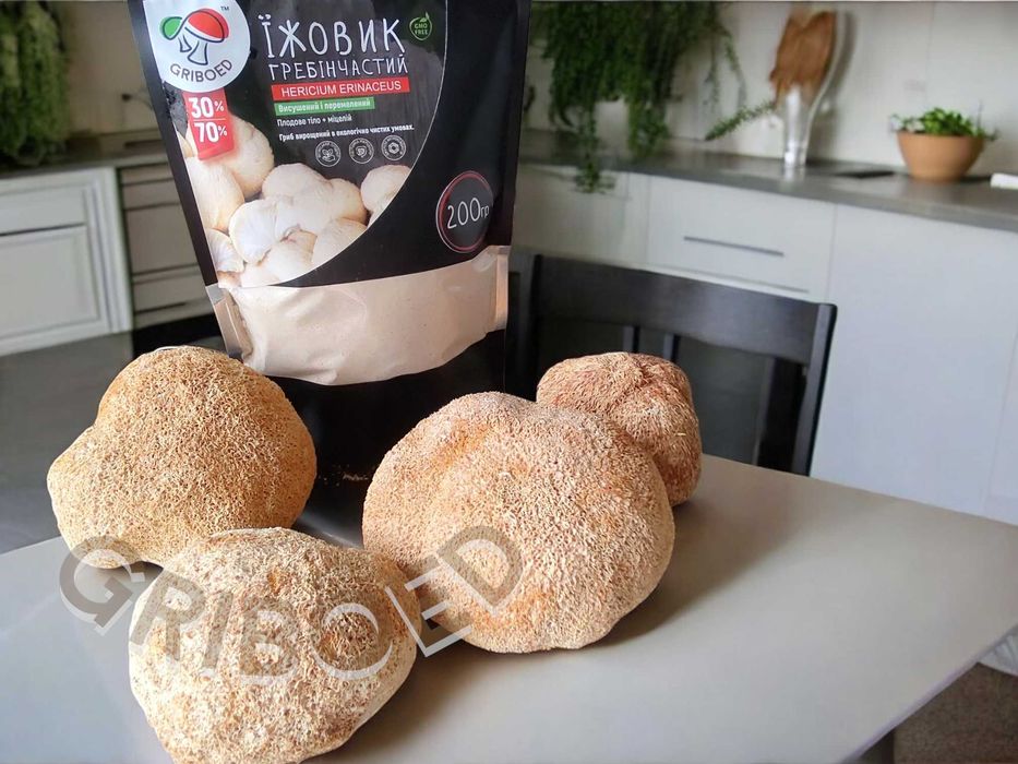 250 грамм - Ежевик гребенчатый (мицелий + плодовые тела). Лучшая цена!