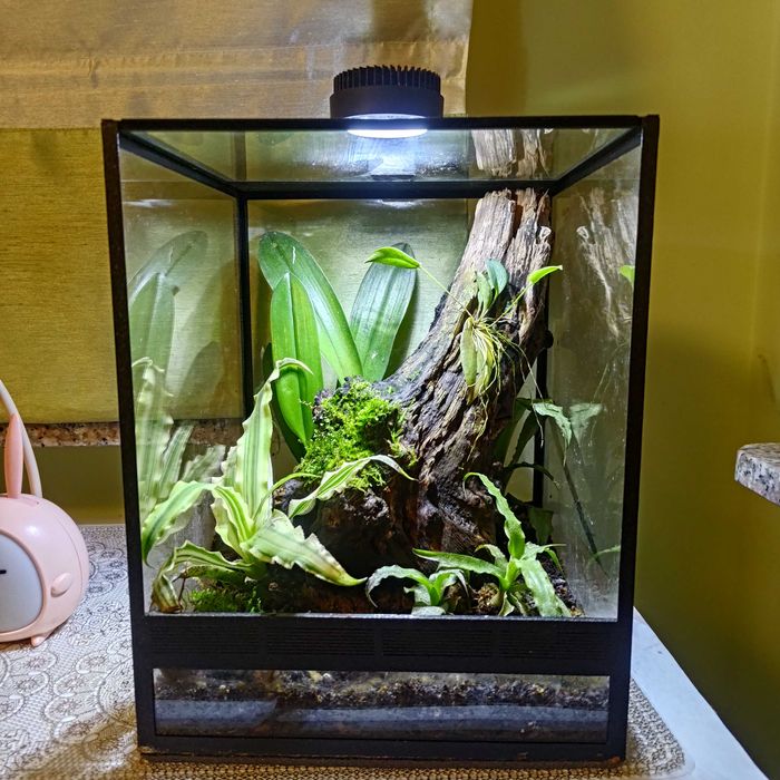 terrarium bioaktywne komplet