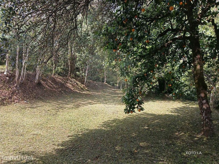 Terreno  para venda — Torres do Mondego, Coimbra