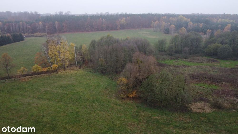 Działki budowlane w miejscowości Mosina gm. Witnica