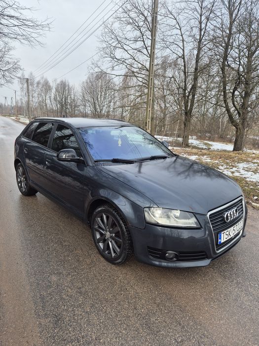 Audi A3 8P 1.6TDI