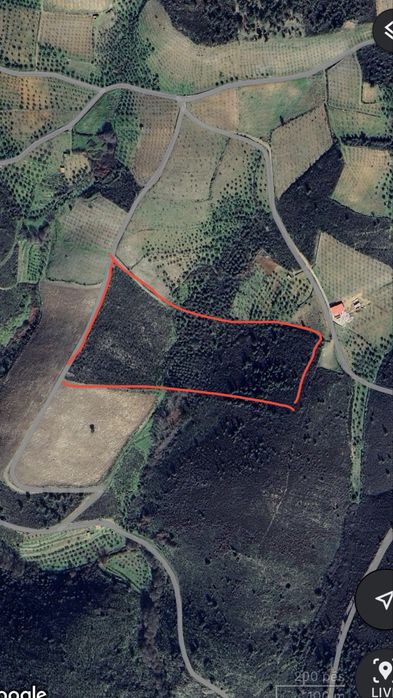 Terreno rústico com amendoal e oliveiras