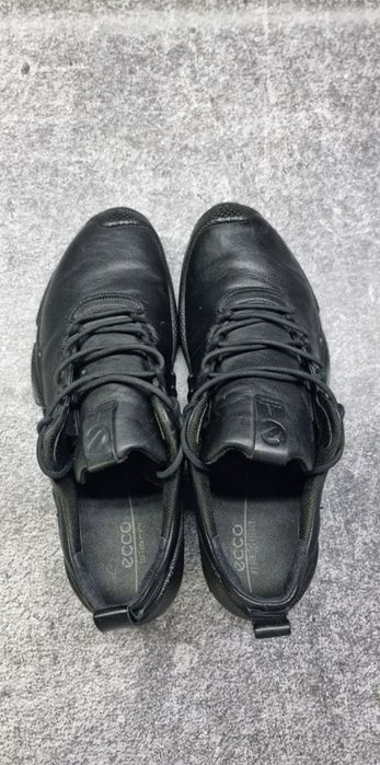 Кросівки Ecco Biom AEX