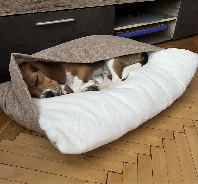 Лежанка ліжко лежак новий 58х73см з капюшоном для собаки