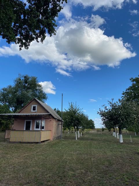 Будинок село Розаліївка Білоцерківський р. Київська обл. ВЛАСНИК