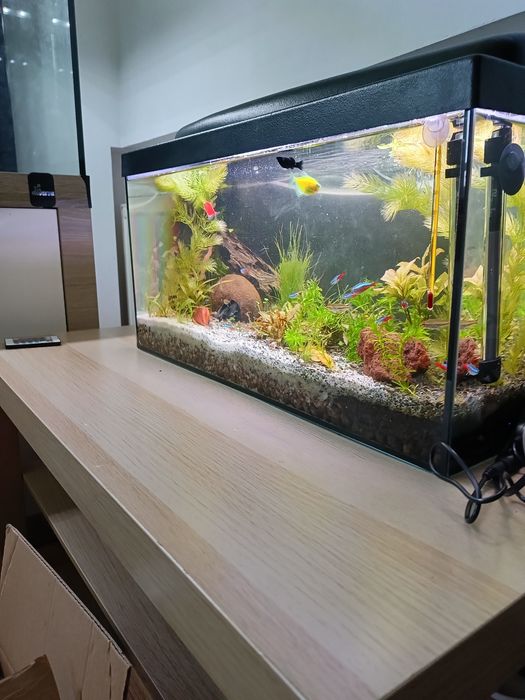 Akwarium 54litrow bogaty zestaw