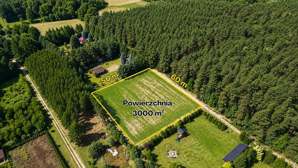 Działka budowlana 3000 m² przy lesie - Anielin Swędowski, gm. Stryków