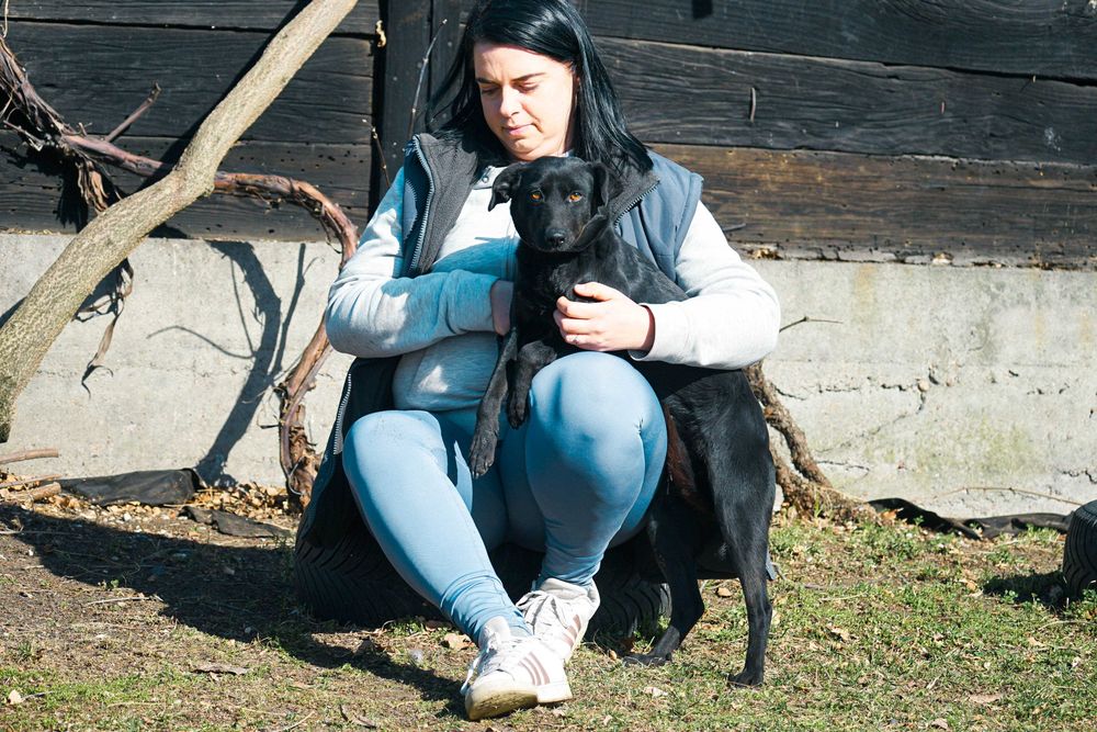 Luiza - niewielka sunia szuka domu