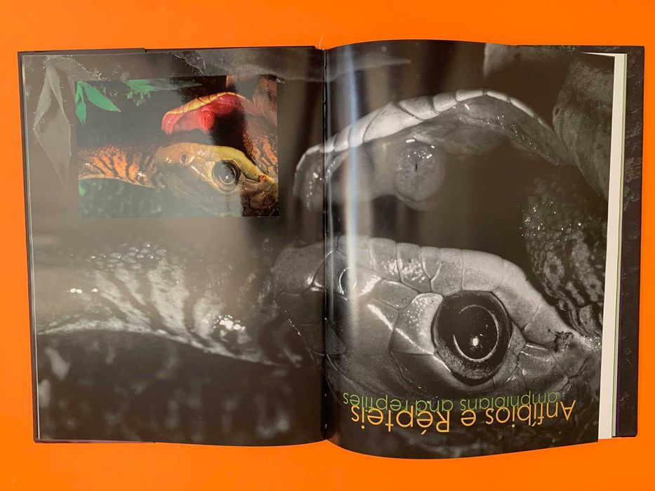 Jambreiro: Fauna e Flora  - Roberto Murta