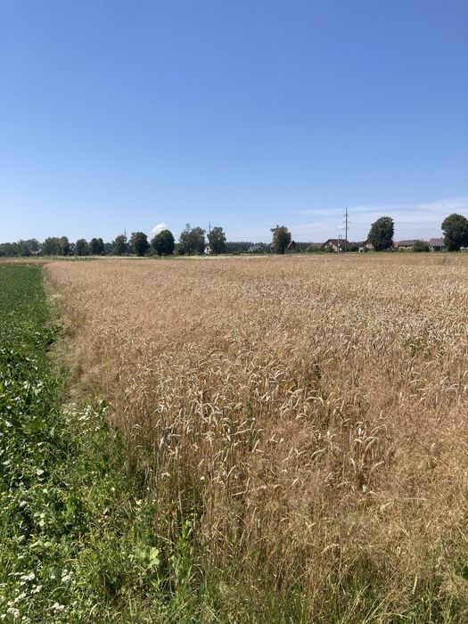 Продам земельну ділянку під будівництво. Власник