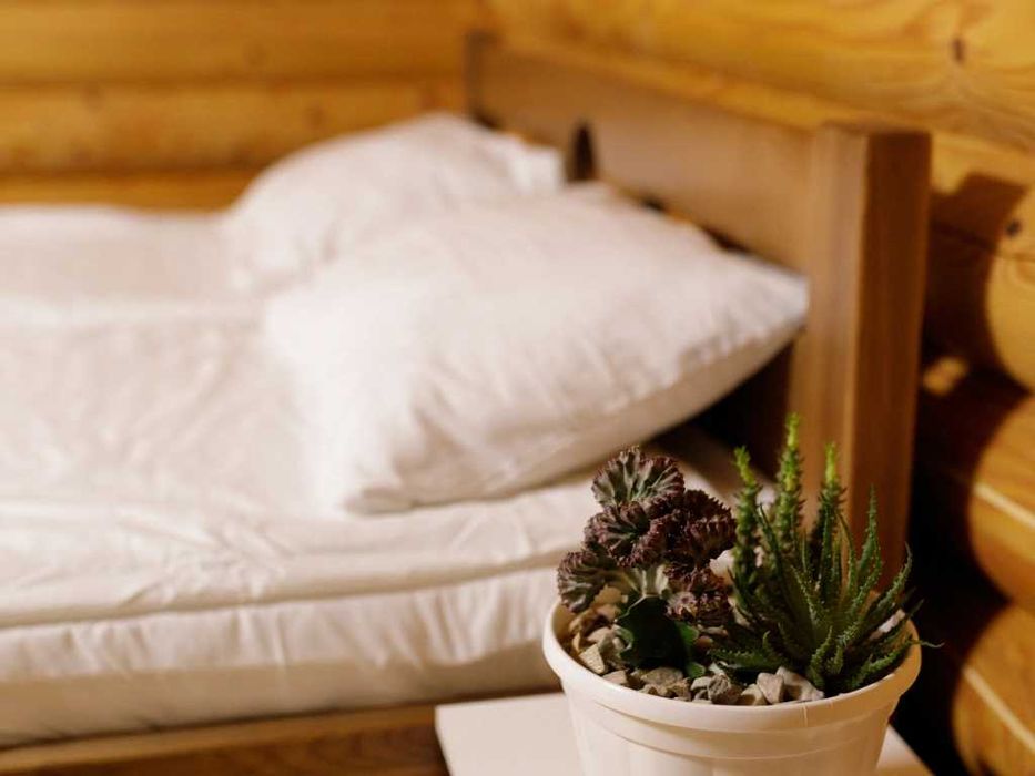 Відпочинок у Карпатах База відпочинку "Спокій" біля Сваляви та Поляни