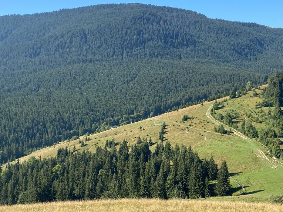 Земля під екопоселення 26 гектарівів