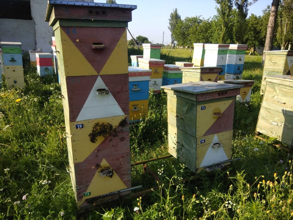 Продам вулики 10 рамок дадан