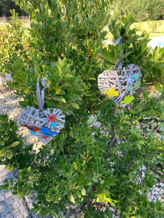 Corações em vime rústico